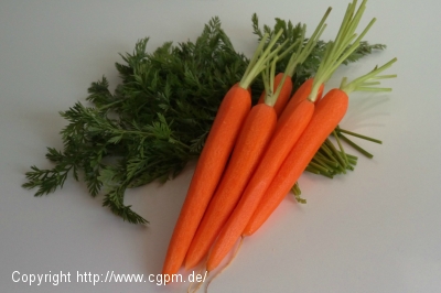 Glasierte Karotten und Karottencreme