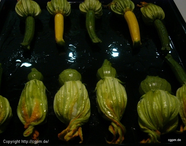 Zucchini-Blüten gefüllt